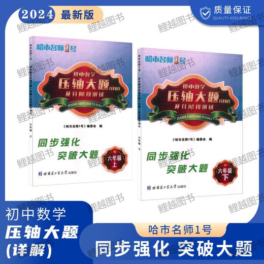 初中数学2627压轴大题详解六七八678年级五四54制哈尔滨市期中末 7年级【上册】 初中通用