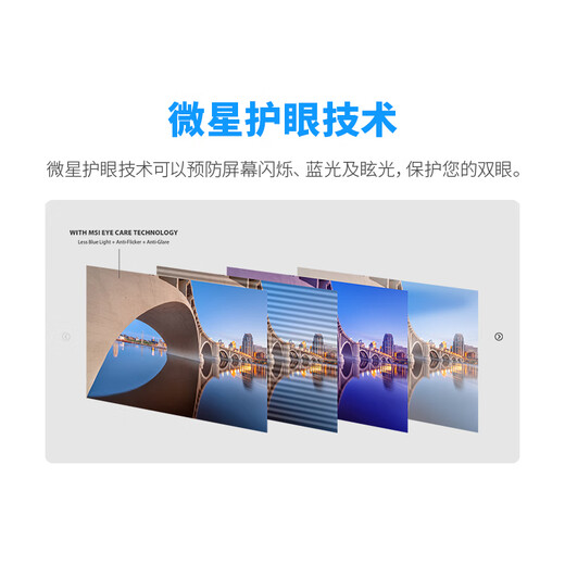 微星（MSI）15.6英寸便携显示器 IPS屏 双Type-c口 内置扬声器 防蓝光 护眼不闪屏 PRO MP165 E6