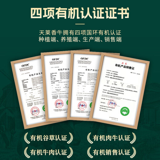 天莱香牛新疆有机牛腱子肉1斤谷饲国产牛肉生鲜酱卤牛肉清真【真原切】