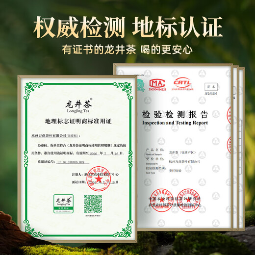 西湖工夫2025新茶茶叶绿茶龙井明前特级春茶礼盒装送长辈领导礼物品250g