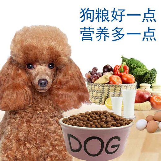 Jianzai Teddy Poodle Dog Food Adult Dog Food Puppy Food Small Grain Beef Flavor Small Dog Pet Food Main Food Natural 2500g