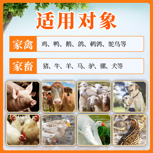 Tianwu veterinary enzyme-added probiotics for pigs, cattle, sheep, chickens, ducks, geese, pregnant animals, gastrointestinal conditioning probiotics, cat, dog and rabbit feed additives, enzyme-added probiotics 500g, 5 bags