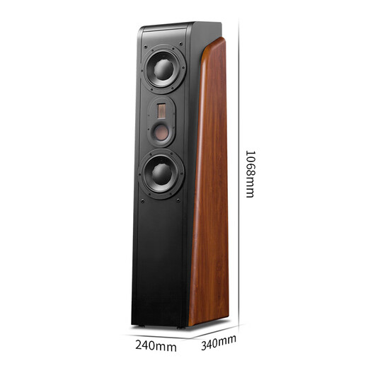 Huiwei (HIVI) D3.2MKIII + Tianlong X540 Verstärker Front Audio Home Theater Hauptredner 2.0 Kanal Hifi Wooden High-Fidelity-Bodenbox