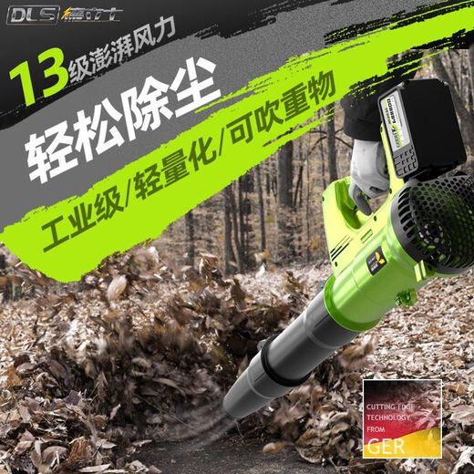 充电式鼓风机强力吹风机大功率工业用锂电无线吹灰机吹灰尘吹树叶 DS-6挡暴风吹3888TV两电一充