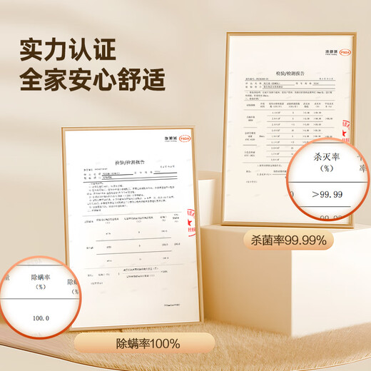 Supor Mite Remover Bed Treasure Upgraded Suction Double Cup Dust Mite Separation 65 Hot Air Drying Household Bed Mite Remover to Remove Mites Pet Mite Remover ERC-TT21C