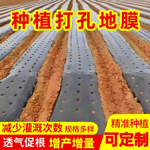 Perforated black mulch film for weeding, insulation, moisturizing and anti-aging medicinal materials, onions, peppers, peppers, special perforated mulch film, 1 wire, 1.5 meters wide, 280 meters wide, 30*30, 4 holes