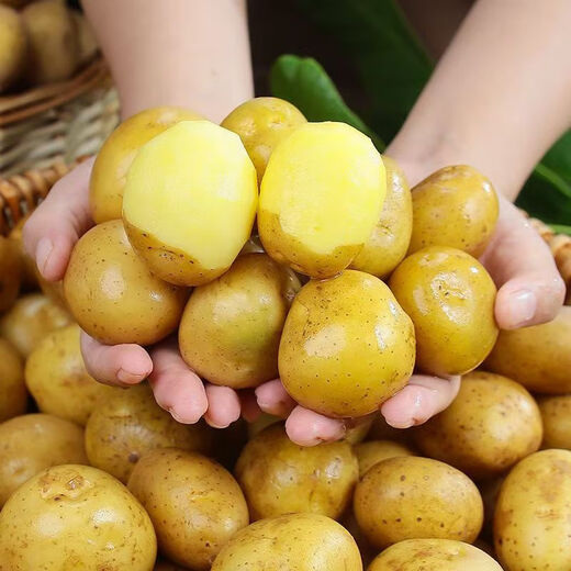 Hubei Enshi selenium-rich small potatoes yellow heart national landmark vegetable alpine cultivation egg size fresh JD. Selenium-rich small potatoes 5Jin Jin equals 0.5kg, including box