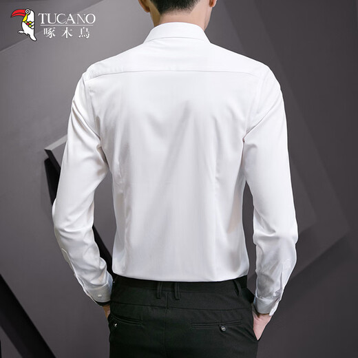 Woodpecker crisp formal shirt men's autumn business professional comfortable cotton casual long-sleeved shirt white L