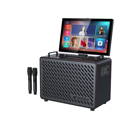 Shanshui C10 Amplifier Audio All-in-One 2025 New Home KTV Lautsprecher Set Outdoor Audio Karaoke Special Karaoke Equipment High Power Square Dance Audio mit Display Shanshui C10 Flaggschiffversion
