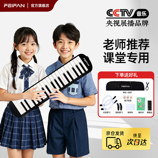 Feifan Feifan Mouth Organ 37 Keys Special for Primary School Students Beginners Recommended by Teachers for Campus Playing Instruments Double Sets of Blowpipes