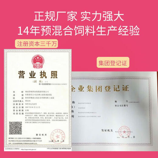 Bibang 5% cattle and sheep premix breeding ewe fattening feed cow compound additive trace elements for breeding sheep 5% beef cattle and sheep general T9225