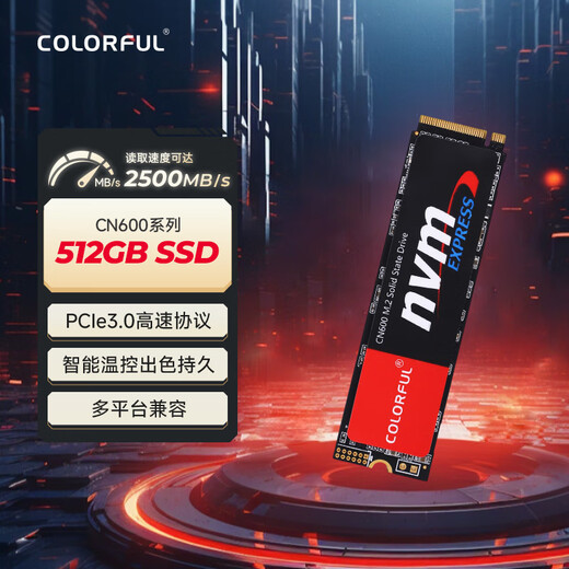 七彩虹(Colorful) 512GB SSD固态硬盘 M.2接口(NVMe协议) CN600系列 PCIe 3.0 x4