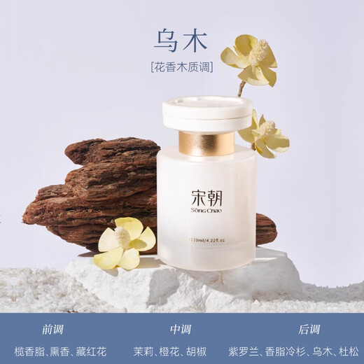 Song Dynasty dark night ebony platinum men's air outlet high-end car aromatherapy perfume light fragrance long-lasting New Year gift