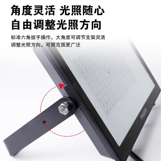 Philips (PHILIPS) high power LED floodlight 100W waterproof IP65 outdoor outdoor floodlight factory factory courtyard lighting billboard projection light white light 6500K