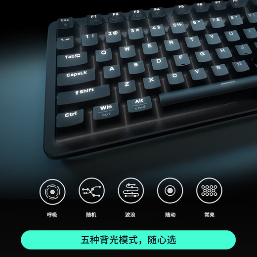 罗技（Logitech）K848机械键盘有线游戏电竞AI全键热插拔客制化DIY个性化PDT键帽电脑办公键盘 K848黑色+Rapper联名键帽