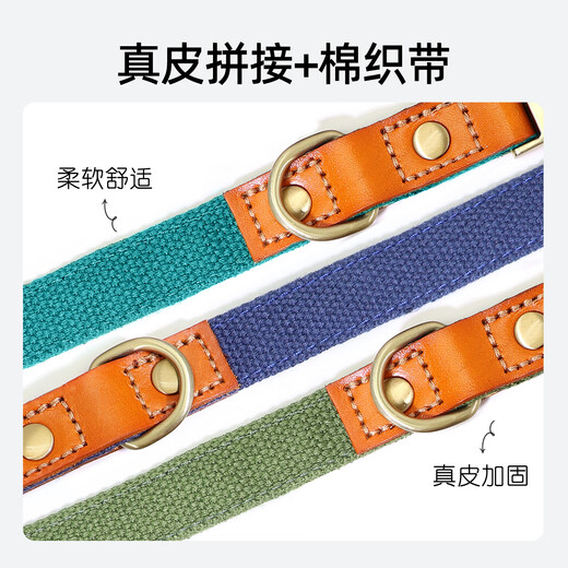 DidogPet dog collar engraved anti-lost traction rope medium and large dog collar golden retriever corgi labrador small dog collar Morandi green please leave a message or note for engraving M size recommended 18-40 Jin Jin equals 0.5 kg