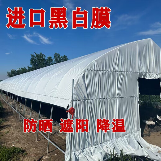 Greenhouse plastic film, non-drip film, agricultural greenhouse film, PO film, vegetable planting, anti-fog, high light transmittance, anti-aging, longevity film, blue film 10S imported longevity film, thickened, 4m wide, how many meters long, take a few pieces, send the whole picture