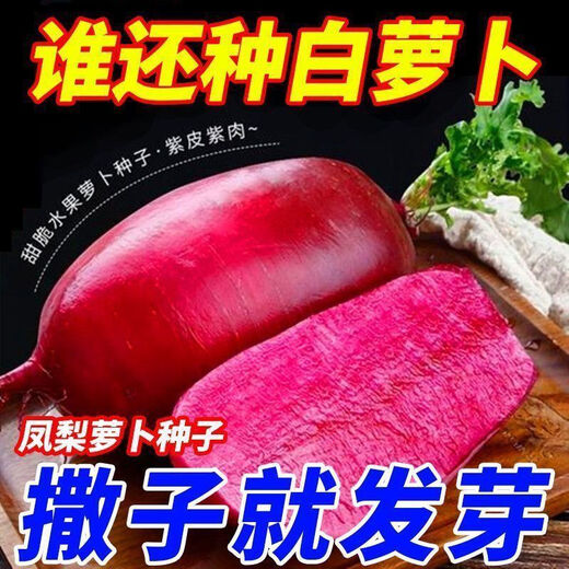 This year's new variety of pineapple fruit radish seeds can be sown raw in the summer. Purple beauty radish and rouge radish seeds can be sown in the summer. New products on the market. Original 4 packs (600 grains).