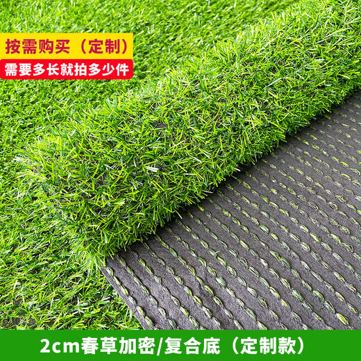 Liangxiang Simulated Lawn Carpet Plastic Artificial Green Fake Turf Kindergarten Balcony Outdoor Padding Courtyard Engineering Fence 2mx0.5m Spring Grass 2cm Encrypted Style