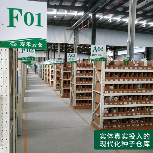 Shouhe Bingtangzi melon seed seedlings winter and spring fruit seeds melon home planting Bingtang Prince seeds 60 capsules * 4 bags