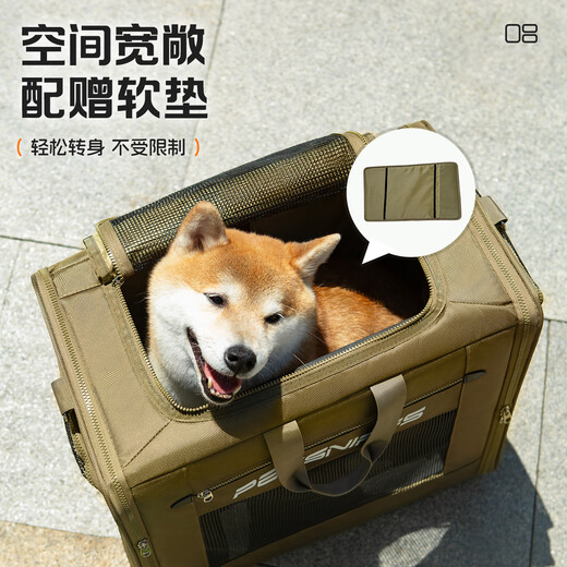 Haustier-Trolley, Maine-Coon-Katzentasche, große Kapazität, Rucksack, Katzentasche, tragbarer Haustier-Rucksack für den Außenbereich, kleiner Hund, Welpen-Tasche, grüner Trolley