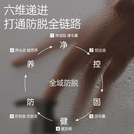 Spes anti-hair loss shampoo Platycladus orientalis leaf anti-hair breakage oil control fluffy men and women shampoo 300ml