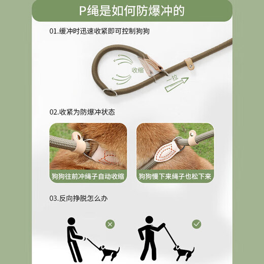 Gasco pet P chain size M dog leash dog leash collar small and medium-sized dogs dog out walking training dog belt