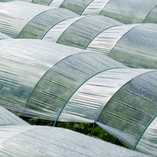 White plastic film, small shed film, plastic, thermal insulation and moisturizing, vegetable greenhouse film, mulch film, waterproof plastic 20Jin Jin is equal to 0.5kg 2 wires thick 2 meters wide 210 meters long