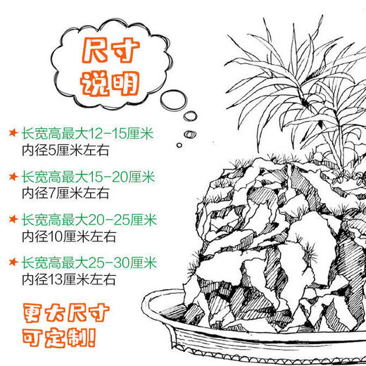 Absorbent stone flower pot, natural strange stone, absorbent stone, water-absorbing stone, raw stone stone pot, calamus succulent potted plant, bonsai micro-scape, 10-12cm stone pot + tempered rectangular holder + grass seeds