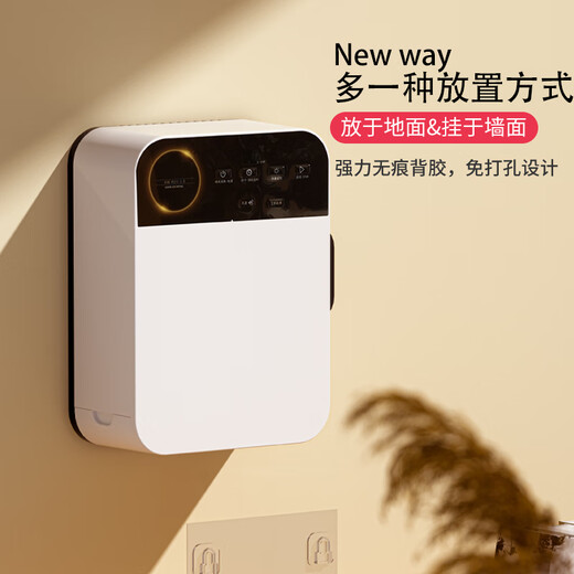 Other flash sale price German imported smart constant temperature shoe dryer UV ozone sterilization and deodorizing foot warmer and sweat artifact imported movement/timer type-dry 1 pair