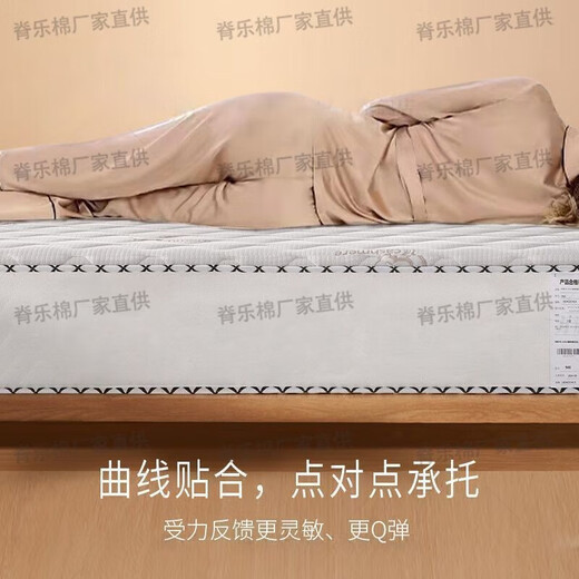 席梦思床垫家庭软硬两用独立弹簧床垫加厚20cm乳胶椰棕出租房床垫 希尔顿款丨E3高级房+臻享乳胶22cm厚】 1350mm*1900mm