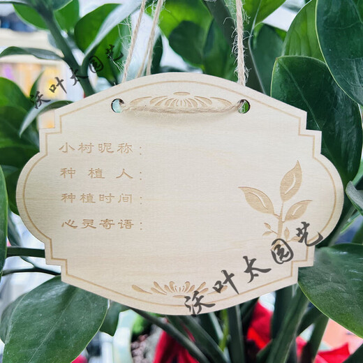 Yong Huan 10 pieces of custom-made wooden hanging tags for school Arbor Day tags, tree adoption tags, plant tags, name cards, random mixed 10 pieces