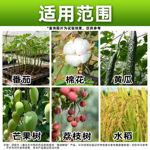 1.8% Sodium Nitrophenolate Sodium Nitrophenolate Plant Growth Regulator Cotton Growth Regulation Genuine Growth Regulator Large Bottle Whole Box Wholesale Price 1000g*12 Bottles