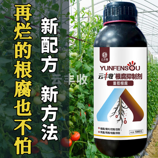 云丰收根腐抑制剂根腐克星黄叶烂根猝倒死棵茎基腐壮根活化土壤厂家直销 1大瓶*1000克+量杯+假一赔十