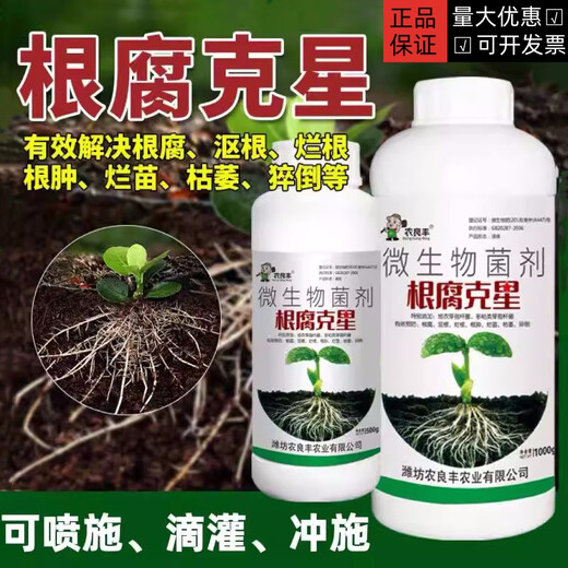 Root rot nemesis Bacillus licheniformis Bacillus harzianum Trichoderma blight dead root withered root rot medicine 500g