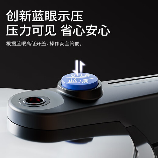 Royalstar pressure cooker household 304 stainless steel explosion-proof pressure cooker small new pot gas induction cooker universal 100kPa-blue dot pressure indicator (suitable for 2-3 people) 22cm 4L