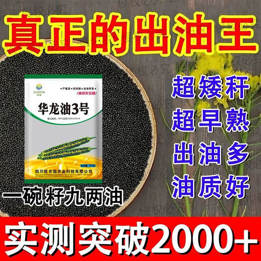 Rapeseed hybrid large-grained rapeseed, specially cultivated by the Academy of Agricultural Sciences for oil extraction, with short stems, resistance to lodging and frost resistance, guaranteed Hualongyou No. 3 rapeseed 500g, about 110,000 seeds + technology