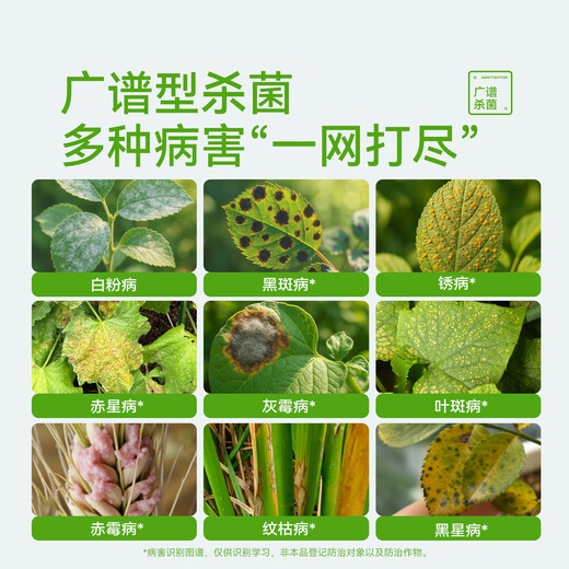 Stanley triadimefon fungicide, special for flower white spot and black spot, commonly used anthers for succulent rose flower diseases and insect pests, triadimefon 200ml, comes with graduated dropper