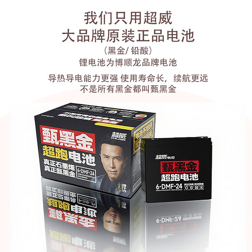 Phoenix (Phoenix) cool electric tricycle household small elderly walking electric vehicle tricycle elderly leisure battery car 600W丨48V20A lead-acid + battery life about 40 kilometers