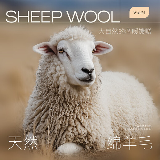 Sancai Ingenious Coat 100 Sheep Wool Sancai 2025 Winter New Gray Double-Sided Woolen Coat Women S