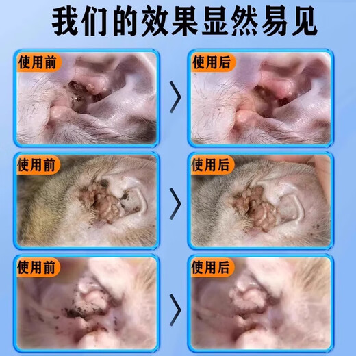 Malassezia ear medicine pet ear cleaning, removing mites, otitis media, earwax, itching, antibacterial cleaning, special ear drops 1 bottle 50ml, special for Malassezia