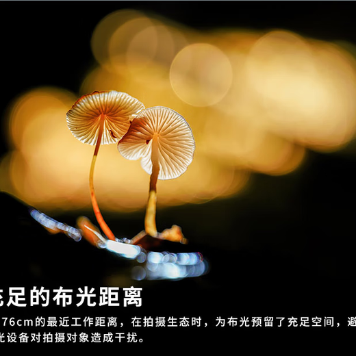 LAOWA FF180mm F4.5 CA-Dreamer 1.5X magnification macro lens MF-L mount