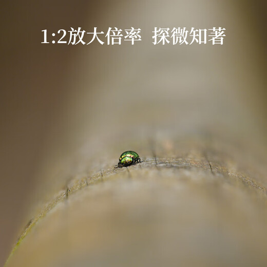 SIGMA 20-200mm F3.5-6.3 DG Contemporary full-frame mirrorless camera, travel the world with one lens, travel scenery L mount