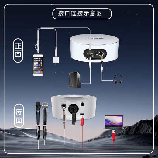 BABYBOTTLE SL-E300 66 condenser microphone Internet celebrity live recording microphone shouting karaoke singing shouting microphone +M2-PLUS third generation sound card