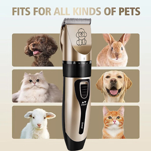 Pet hair clipper electric clipper for dogs and cats Teddy hair clipper special beauty high-power hair pusher pet hair clipper rich gold standard