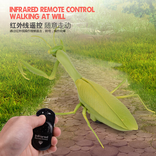 Qianqi Meng Mantis remote control reptile prank insect toys for primary and secondary school students 3-7-8-12-year-old boy and girl [Classic version - remote control centipede] Yellow and black model 9901+ official standard