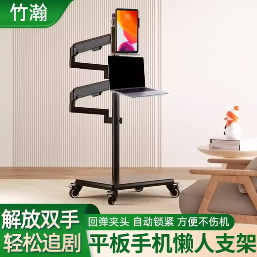 Pinwuyou removable floor-standing lazy stand for mobile phone, iPad and tablet computer support stand for bedside drama streaming stand, floor-standing fixed type/long arm with 1 tablet clip