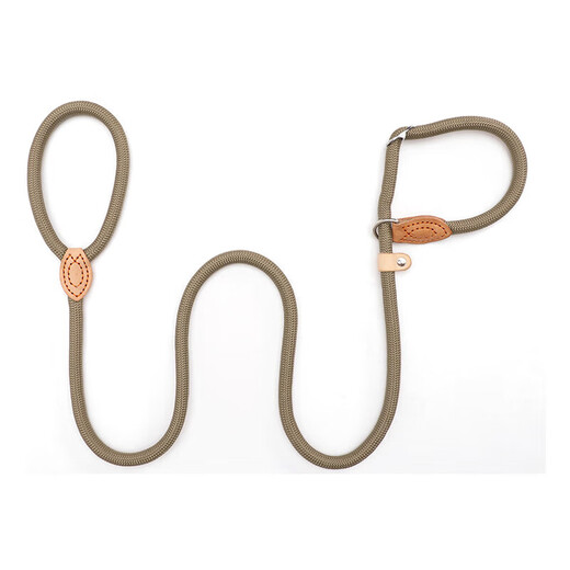 Gasco pet P chain size M dog leash dog leash collar small and medium-sized dogs dog out walking training dog belt