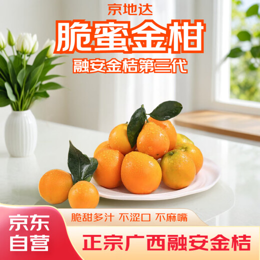 Jingdida Guangxi Rongan Kumquat Three Generations Crisp Honey Kumquat net weight 3Jin Jin is equal to 0.5kg. The single kumquat fruit is about 21g. Straight from the fruit source.