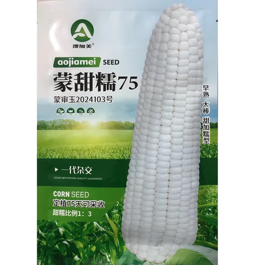 白甜糯玉米种子高产白糯玉米非转四季播国审农家超甜加糯玉米种子 龙育糯1号玉米种子【原装200克1袋